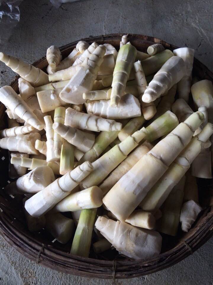 cach-ngam-mang-kho